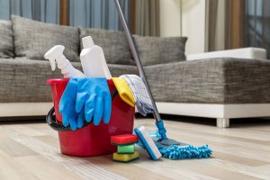 Professional Cleaning Services
